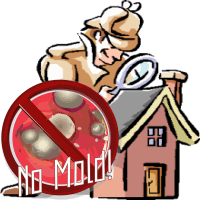 Mold Inspector