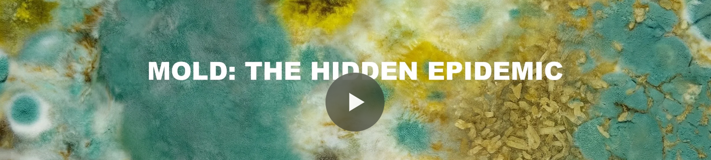 Mold: The Hidden Epidemic
