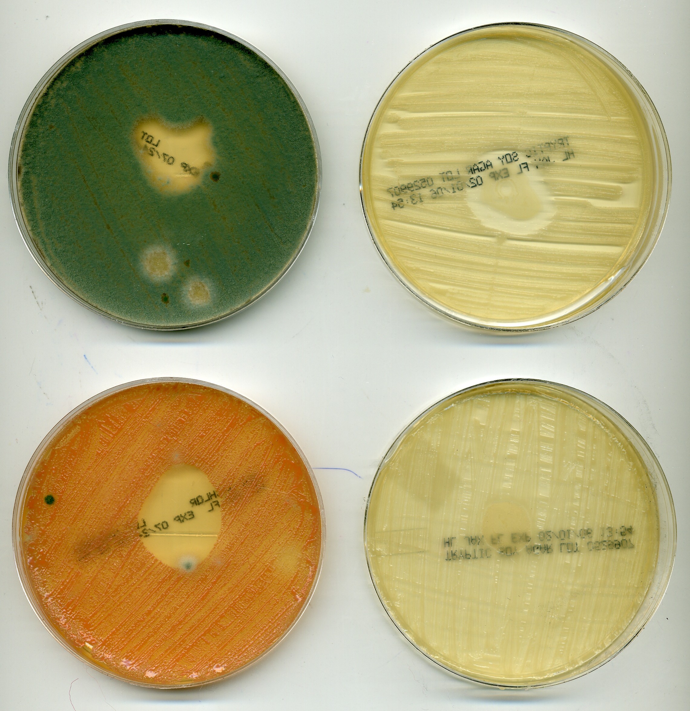 MicroBlocProductTest