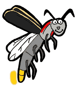 FireFly