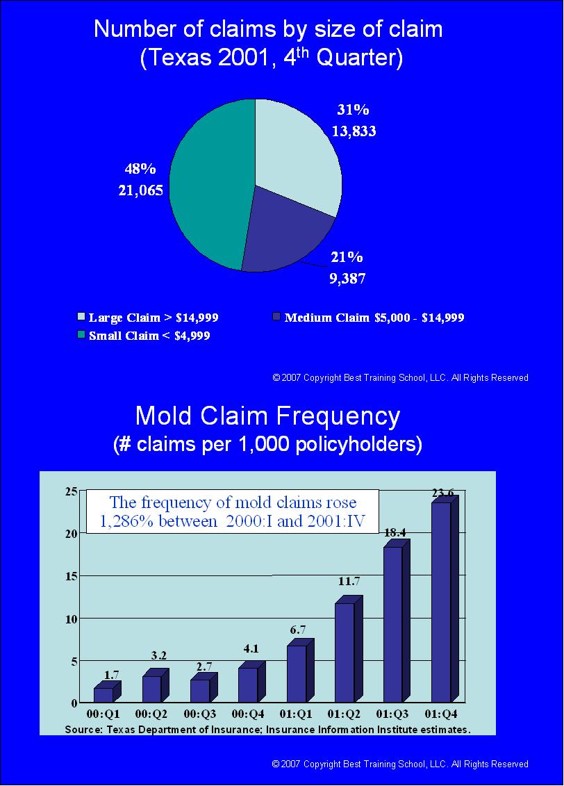 MoldStats